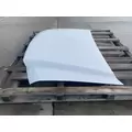 FORD F550 Hood thumbnail 5