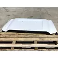 FORD F550 Hood thumbnail 2