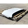 FORD F550 Hood thumbnail 5