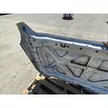 FORD F550 Hood thumbnail 9