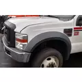 FORD F550 Hood thumbnail 3