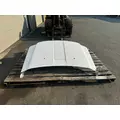 FORD F550 Hood thumbnail 7