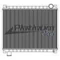 FORD F600 (1999-DOWN) RADIATOR ASSEMBLY thumbnail 2