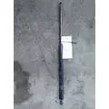 FORD F650SD (SUPER DUTY) HOOD SHOCKSTRUT thumbnail 3