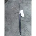 FORD F650SD (SUPER DUTY) HOOD SHOCKSTRUT thumbnail 6