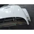 FORD F650SD (SUPER DUTY) HOOD thumbnail 15