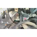 FORD F650SD (SUPER DUTY) WINDSHIELD WASHER RESERVOIR thumbnail 1