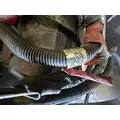 FORD F650 Engine Wiring Harness thumbnail 4