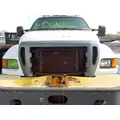 FORD F650 Hood thumbnail 1