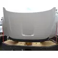FORD F650 Hood thumbnail 7