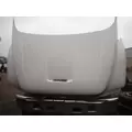 FORD F650 Hood thumbnail 5