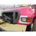 FORD F650 Hood thumbnail 2