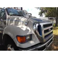 FORD F750SD (SUPER DUTY) HOOD thumbnail 3