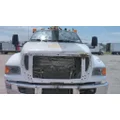 FORD F750SD (SUPER DUTY) HOOD thumbnail 1