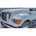 FORD F750SD (SUPER DUTY) HOOD thumbnail 2