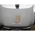 FORD F750 Hood thumbnail 4