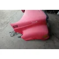 FORD F750 Hood thumbnail 3