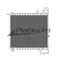 FORD F800 RADIATOR ASSEMBLY thumbnail 2