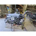 FORD F800 Starter Motor thumbnail 3