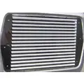 FORD LN8000 GRILLE thumbnail 2