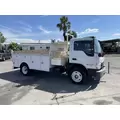 FORD LOW CAB FORWARD Vehicle For Sale thumbnail 3