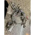 FORD LTL9000 Dash Wiring Harness thumbnail 2