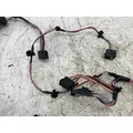 FREIGHTLINER A06-95756-003 Wiring Harness thumbnail 2