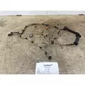 FREIGHTLINER A06-95756-003 Wiring Harness thumbnail 1