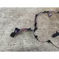 FREIGHTLINER A06-95756-003 Wiring Harness thumbnail 2