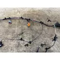 FREIGHTLINER A06-95756-003 Wiring Harness thumbnail 3