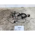 FREIGHTLINER A06-95756-003 Wiring Harness thumbnail 1