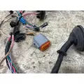 FREIGHTLINER A06-95756-003 Wiring Harness thumbnail 2