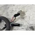 FREIGHTLINER A06-95756-003 Wiring Harness thumbnail 3