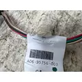 FREIGHTLINER A06-95756-003 Wiring Harness thumbnail 4