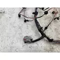 FREIGHTLINER A06-95757-003 Wiring Harness thumbnail 2