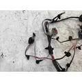 FREIGHTLINER A06-95757-003 Wiring Harness thumbnail 3