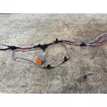 FREIGHTLINER A06-95757-003 Wiring Harness thumbnail 4