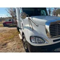FREIGHTLINER A17-15549-000 Hood thumbnail 4