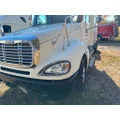 FREIGHTLINER A17-15549-000 Hood thumbnail 7