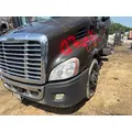 FREIGHTLINER A17-15588-009 Hood thumbnail 6