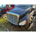 FREIGHTLINER A17-15588-009 Hood thumbnail 2