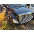 FREIGHTLINER A17-15588-009 Hood thumbnail 4