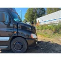 FREIGHTLINER A17-15588-009 Hood thumbnail 5