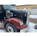 FREIGHTLINER A17-17919-004 Hood thumbnail 3
