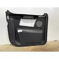 FREIGHTLINER A18-71390-007 Door Panel (Trim) thumbnail 3