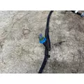 FREIGHTLINER A66-07167-003 Wiring Harness thumbnail 3