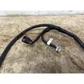 FREIGHTLINER A66-07167-003 Wiring Harness thumbnail 4