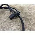 FREIGHTLINER A66-07167-041 Wiring Harness thumbnail 3