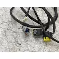 FREIGHTLINER A66-14017-080 Wiring Harness thumbnail 2