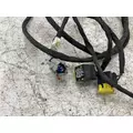 FREIGHTLINER A66-14017-080 Wiring Harness thumbnail 2